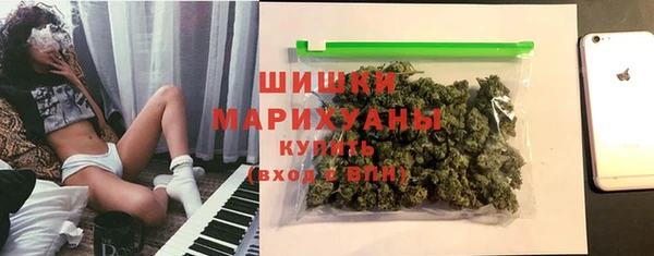 дурь Каменка