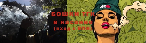 дурь Каменка
