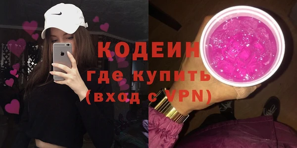 дурь Каменка