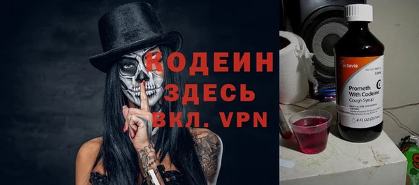 дурь Каменка