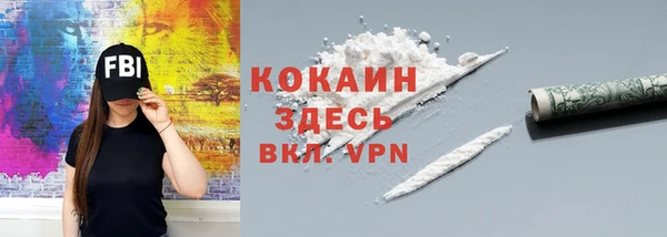 дурь Каменка