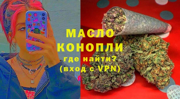 дурь Каменка