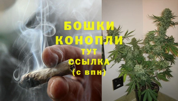 дурь Каменка