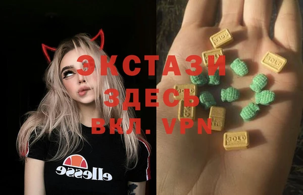 PSILOCYBIN Каменногорск